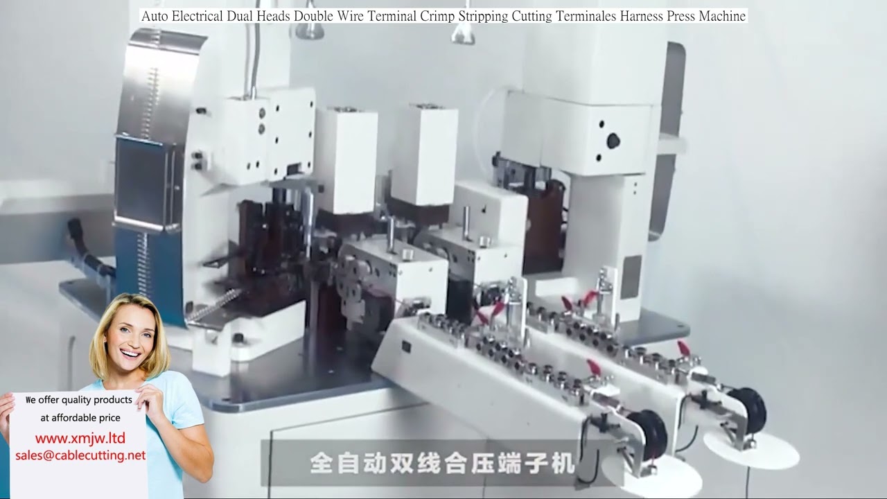 Auto Electrical Dual Heads Double Wire Terminal Crimp Stripping Cutting machine