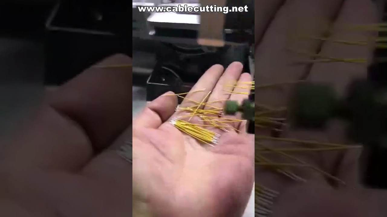 เครื่องปอกสายไฟ บิดเกลียว และชุบดีบุกอัตโนมัติ | Cable Stripping Twisting Tinning Machine