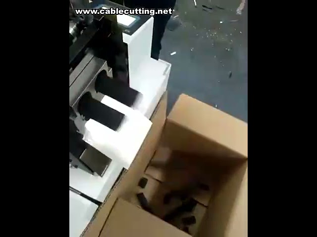 เครื่องตัดยางรัดของอัตโนมัติ ราคาโรงงาน | เครื่องตัดแถบยางประสิทธิภาพสูง