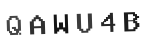 Verification Code Image